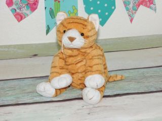 Ty Pluffies Purrz Orange Tabby Kitty Cat Plush Stuffed Baby Striped Bean Toy 10 "