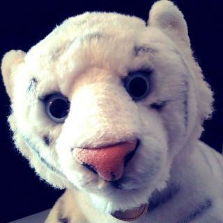 Aurora Miyoni White Tiger Plush Stuffed Toy Leather Tag Blue Eyes 18″,  6″ Tail