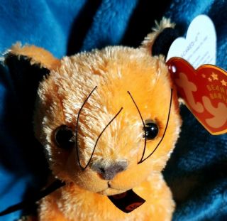 TY BEANIE BABIES: SCARED - e the HALLOWEEN CAT MWMTS OCTOBER 26 2001 5