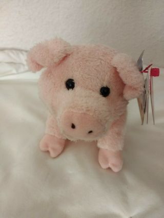 Ty Beanie Baby Wilbur The Famous Pig 2006 Charlotte 