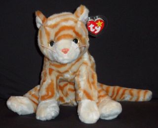 Ty Amber The Cat Beanie Buddy - With Tag (price Sticker)