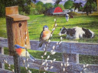 Kevin Daniel 500 Pc.  Puzzle Blue Bird and Cow 100 Complete 2