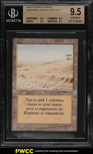 1993 Magic The Gathering Arabian Nights Elephant Graveyard U2 L Bgs 9.  5 (pwcc)