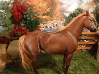 1/6 Scale Mr.  Z Ili Horse Extremely Rare With Mongolian Saddle