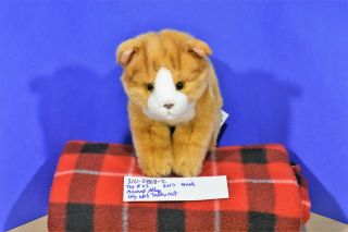 Toys R Us Animal Alley Orange And White Tabby Cat 2017 Beanbag Plush (310 - 2868 - 2)