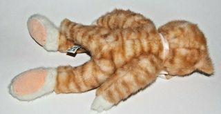 Russ Scratch Kitty Cat Orange Tabby 5