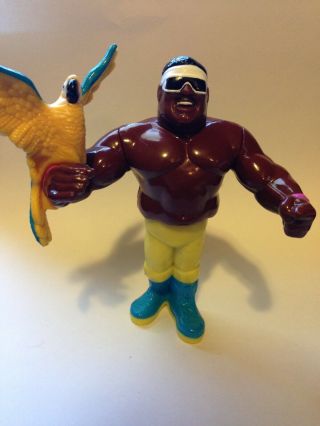 Wwf Wwe Koko B.  Ware Action Figure With Bird Hasbro 90s