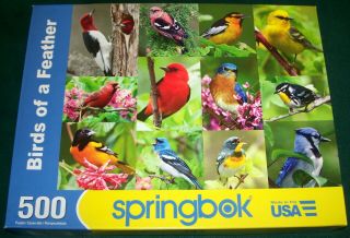 Springbok Birds Of A Feather 500 Pc Jigsaw Puzzle - Complete - Vgc