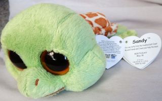 Sandy The Sea Turtle Face Rare Solid Eye Ty Beanie Boo W/ Tag
