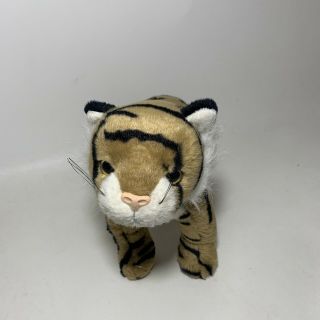 Tiger Ty Classic 1999 13 " Dash Tiger Standing Stuffed Plush Bengal Animal