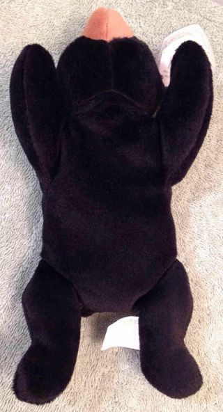 BLACKIE Beanie Baby Multiple ERRORS CURLY ' S Swing Tag 1993/1996 DISPLAY 4