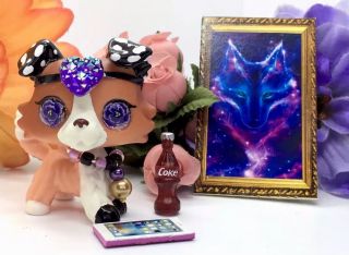 Littlest Pet Shop,  Dog Colllie With Accessories Ooak Custom Hand Painted