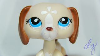 Littlest Pet Shop 1491 Authentic Dachshund Dog Lps Cream Brown,  Blue Eyes