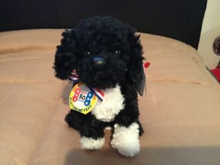 Ty Bo The Portuguese Water Dog - 2.  0 Beanie Baby - Code - Hang Tag