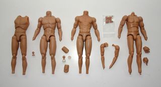 Hot Toys Male Bodies 1/6 Scale Great For Customs Captain America Luke Skywalker