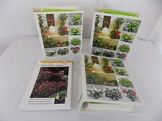 3 Binders Of Success With House Plants Cards 500,  Cards Home School Botany