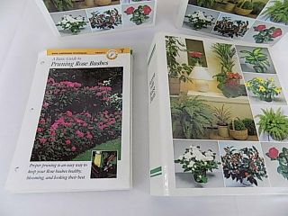 3 Binders of Success With House Plants Cards 500,  Cards Home School Botany 2