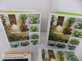 3 Binders of Success With House Plants Cards 500,  Cards Home School Botany 3