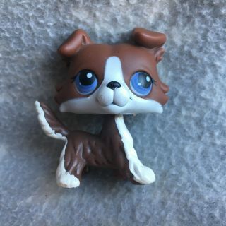 Littlest Pet Shop Partly Repainted No Brown White Collie Puzzle Purple Eyes