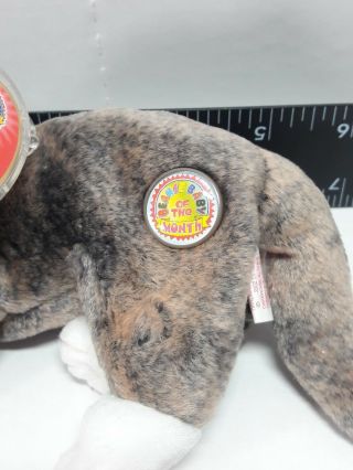 Ty Beanie Babies 2002 CAPPUCCINO Kitten May 2003 2