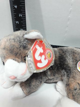 Ty Beanie Babies 2002 CAPPUCCINO Kitten May 2003 3
