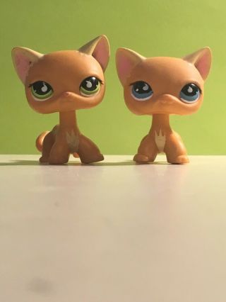 Lps Short Hair Cat 525/790 And Lps Puzzle Cat