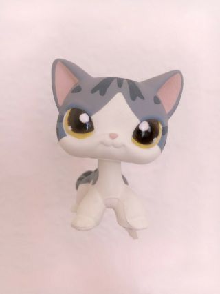 Lps Shorthair Cat Littlest Pet Shop Custom Ooak Curly Customs Kitten Painted