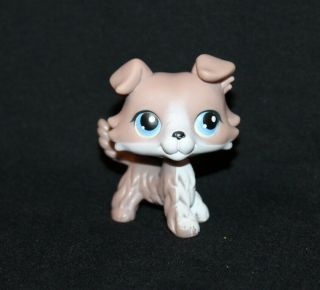 Authentic Littlest Pet Shop Lps Gray & White Toy Collie 67 Blue Eyes Grey Dog