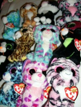 You Pick Ty Beanie Boos Cats Red Heart Tags Jinxy Tasha Lizzie Speckles More 6 "