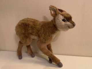Hansa Bushbuck Kid 12” Plush Hand Crafted Lifelike Zoological Stuffed Animal