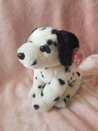Large 12 " Ty Beanie Buddies Dotty Dalmatian Plush Puppy Dog Tag Protect Retired