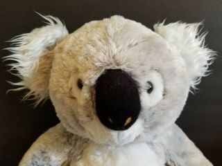 Toys R Us Koala Bear Plush 16 