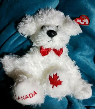 Ty Buddy Ice Skates The Curly White Dog Canadian Exclusive Mwmts 2007