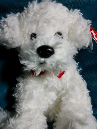 TY buddy ICE SKATES THE CURLY WHITE DOG CANADIAN EXCLUSIVE MWMTS 2007 2