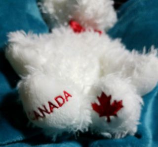 TY buddy ICE SKATES THE CURLY WHITE DOG CANADIAN EXCLUSIVE MWMTS 2007 3