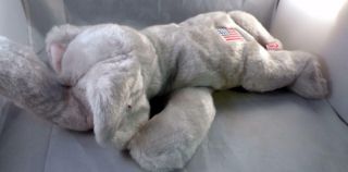 Ty Beanie Babies Buddies Righty American Usa Flag Republican Elephant Plush Toy