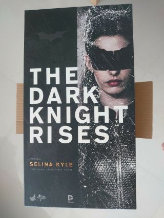 Hot Toys Batman The Dark Knight Rises Selina Kyle Catwoman 1/6 Fig Nrfb Box Nm