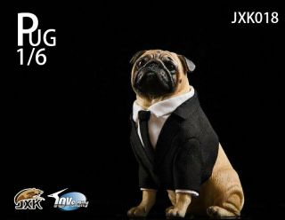 JXK studio 1/6 pug Black - FRANK Dog Animal Model Resin Statue 6