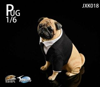 JXK studio 1/6 pug Black - FRANK Dog Animal Model Resin Statue 7
