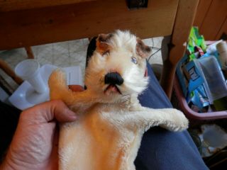 Look Collectible Vintage Mohair " Steiff " Terrier Dog Hand Puppet W/id - Nr