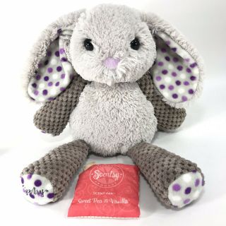 Scentsy Buddy Roosevelt Rabbit Plush Bunny Polka Dot Ears & Scent Pak