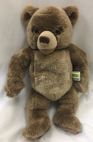 Vtg 1998 Kidpower Maurice Sendak 15 " Talking Little Bear Plush Stuffed Animal