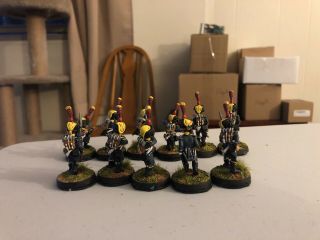 28mm Napoleonic French 17th Legere Infantry,  Professionally Painted Miniatures 5