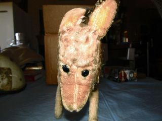 Vintage Steiff Donkey 10 x 13 1/2 inches 2