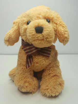 Ty Classics Goldwyn Plush Golden Retriever Stuffed Animal 2017 Soft Toy Lovey
