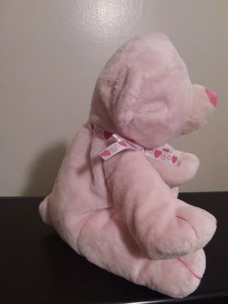 Ty Pluffies Amore the Pink Bear Plush Stuffed Animal Soft Heart Ribbon 9 