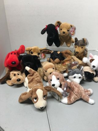 Ty Beanie Baby Luke The Black Puppy Dog Plus Other Canine Friends.