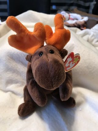 Ty Beanie Babies Chocolate The Moose 1993 - Retired Pe Pellets 1993 Nwt