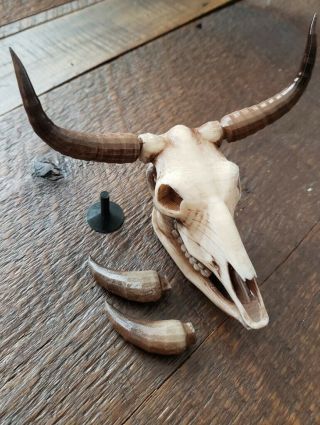 Custom 1:6 Western Steer/cow Skull