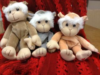 Enesco Precious Moments Tender Tails Set Of 3 Monkeys 1998 Limited Edition